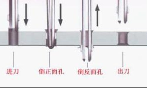 权威丁香根用法平台,分享专业丁香根药用功效与禁忌知识_丁香根药用功效网