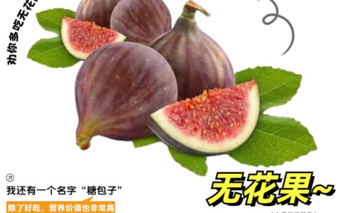丁香根泡水喝的功效-权威丁香根用法平台,分享专业丁香根药用功效与禁忌知识_丁香根药用功效网