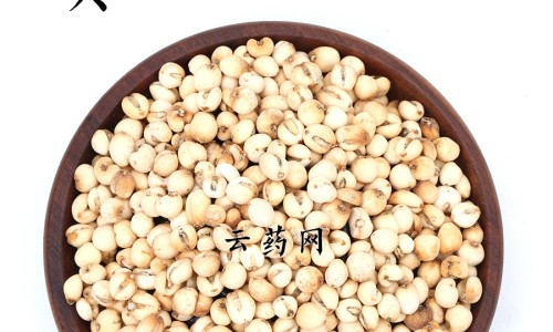 权威丁香根用法平台,分享专业丁香根药用功效与禁忌知识_丁香根药用功效网