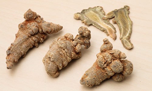丁香根图片-权威丁香根用法平台,分享专业丁香根药用功效与禁忌知识_丁香根药用功效网